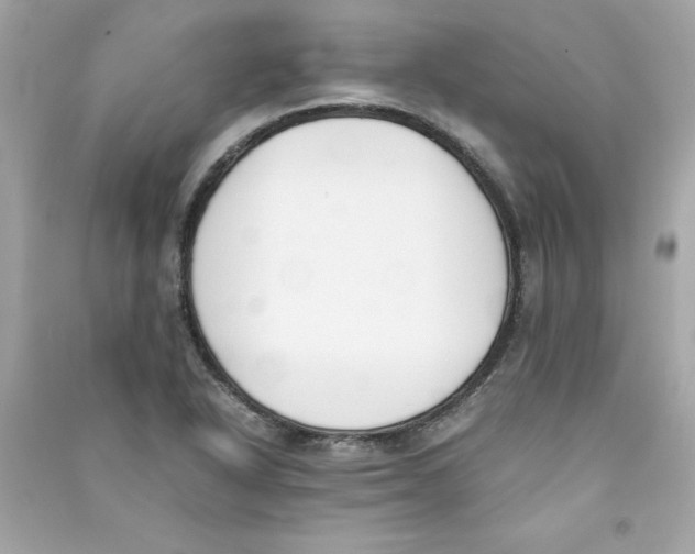 X0000090411318200708101911