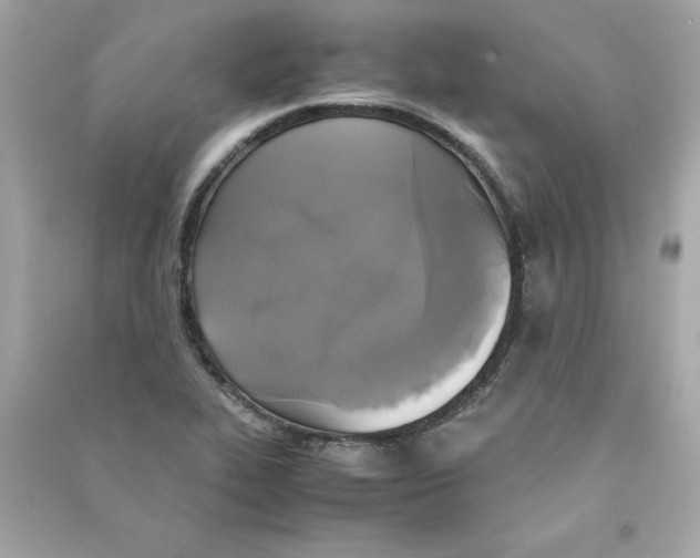 X0000090411319200708101911