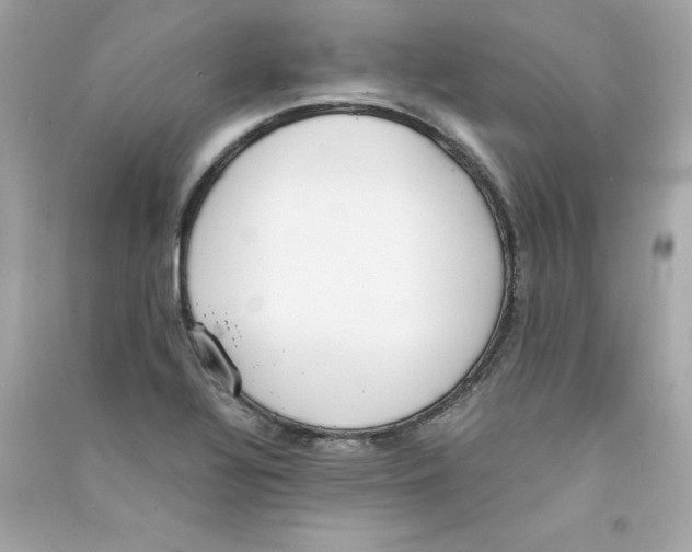 X0000090411320200708101911