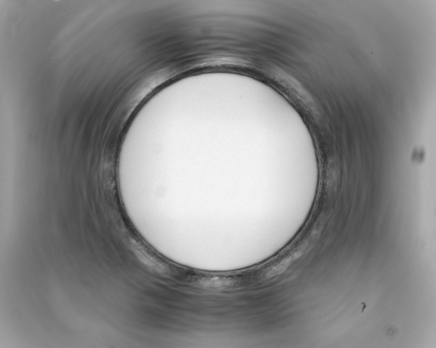 X0000090411321200708101911