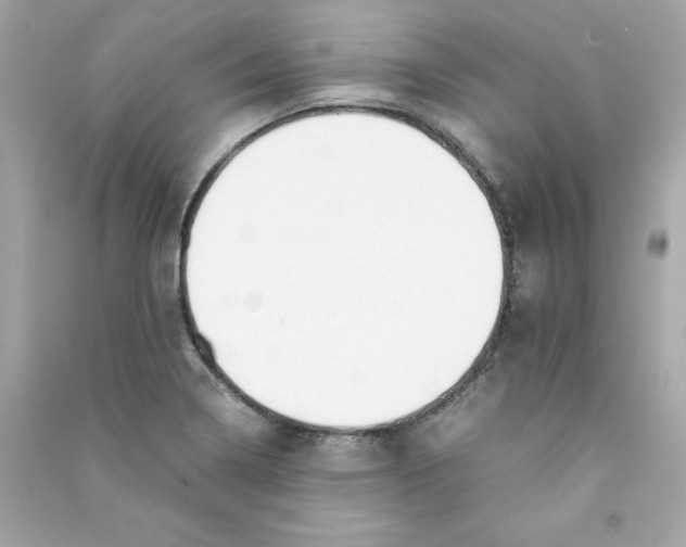 X0000090411322200708101911