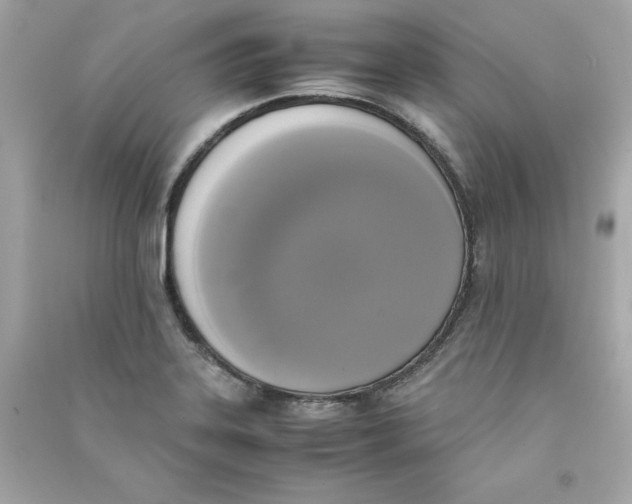 X0000090411323200708101911