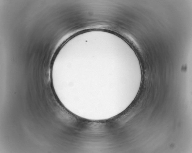 X0000090411324200708101911