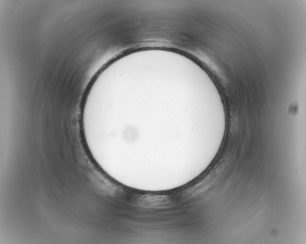 X0000090411325200708101911