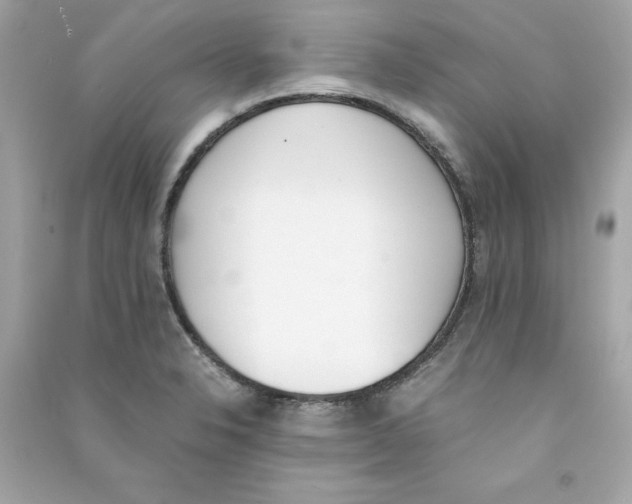 X0000090411326200708101911