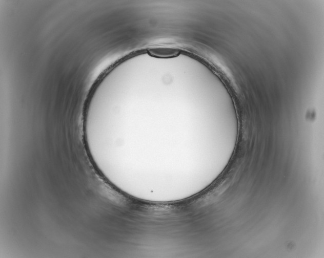 X0000090411328200708101911