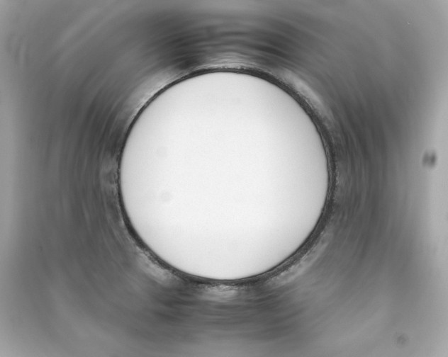X0000090411329200708101911