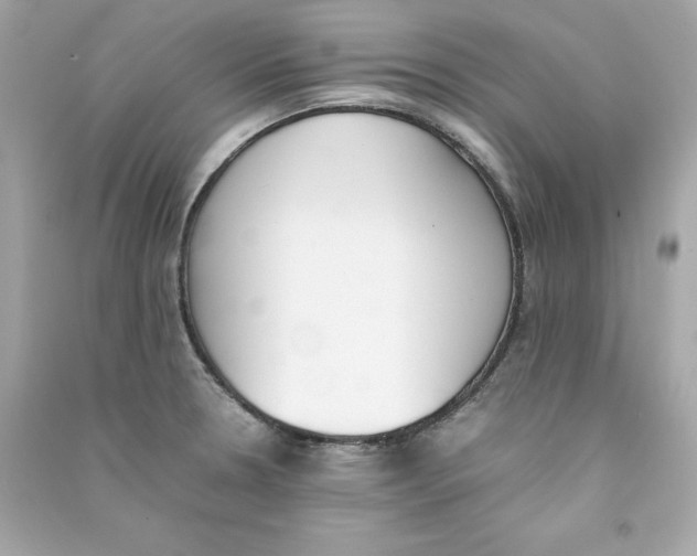 X0000090411330200708101911
