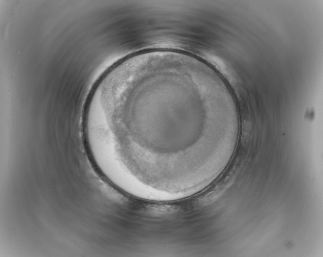 X0000090411331200708101911