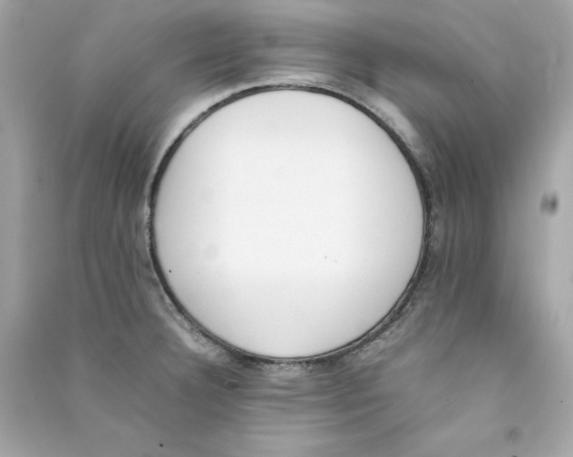 X0000090411332200708101911