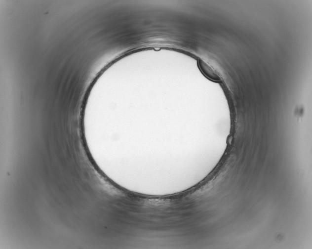 X0000090411333200708101911