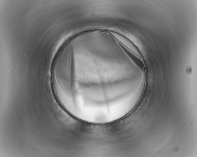 X0000090411334200708101911