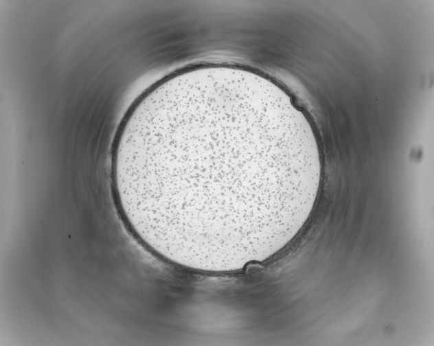 X0000090411335200708101911