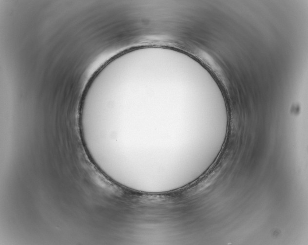 X0000090411336200708101911