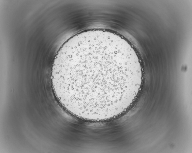 X0000090411337200708101911