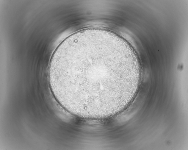 X0000090411338200708101911