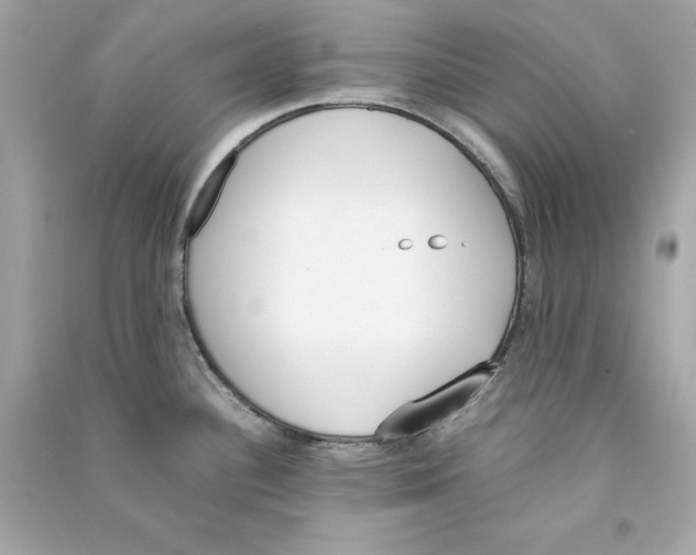 X0000090411340200708101911
