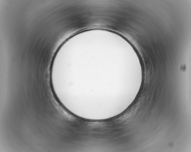 X0000090411341200708101911
