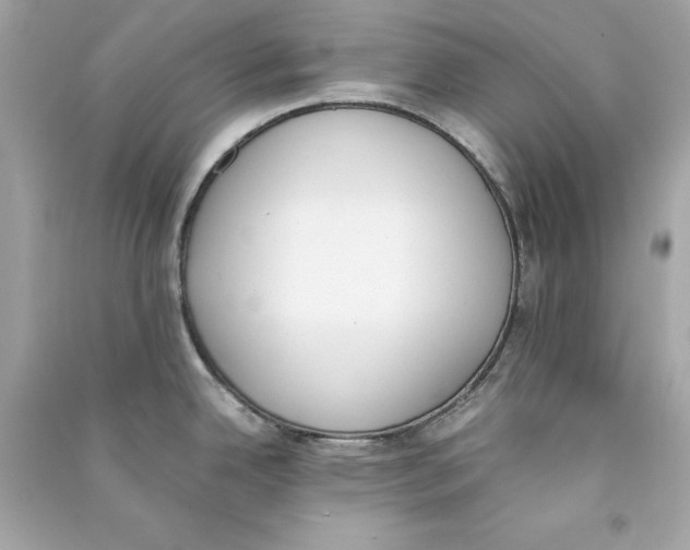 X0000090411342200708101911