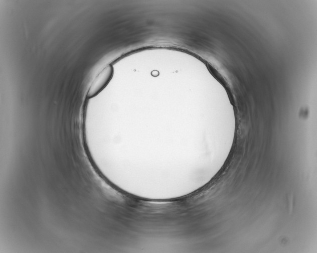 X0000090411343200708101911