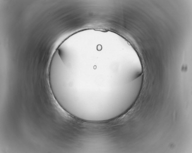 X0000090411344200708101911