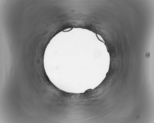X0000090411345200708101910