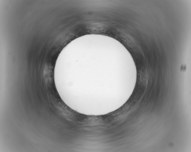 X0000090411346200708101910