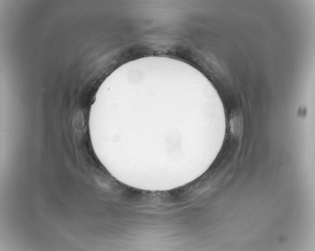 X0000090411347200708101910