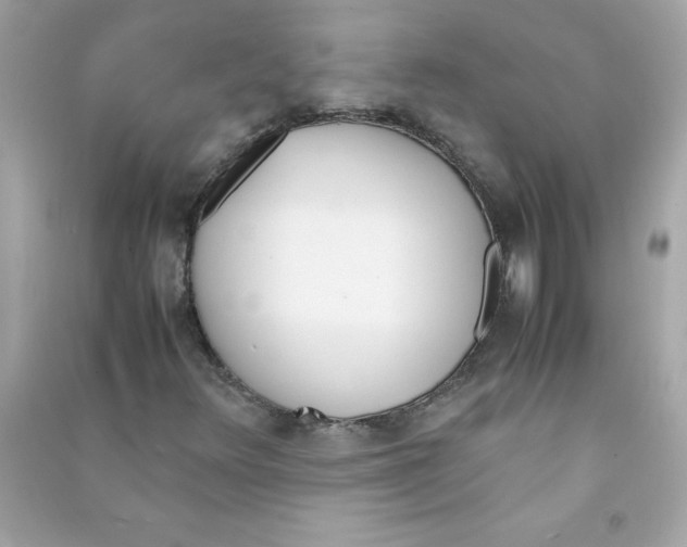 X0000090411348200708101910