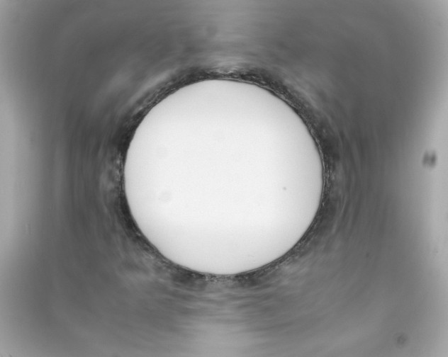 X0000090411349200708101910