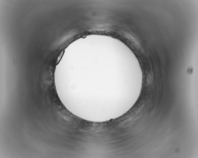 X0000090411350200708101910