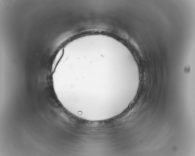 X0000090411352200708101910