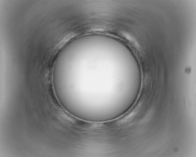 X0000090411353200708101910