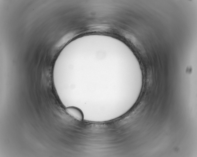 X0000090411354200708101910