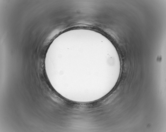 X0000090411355200708101910