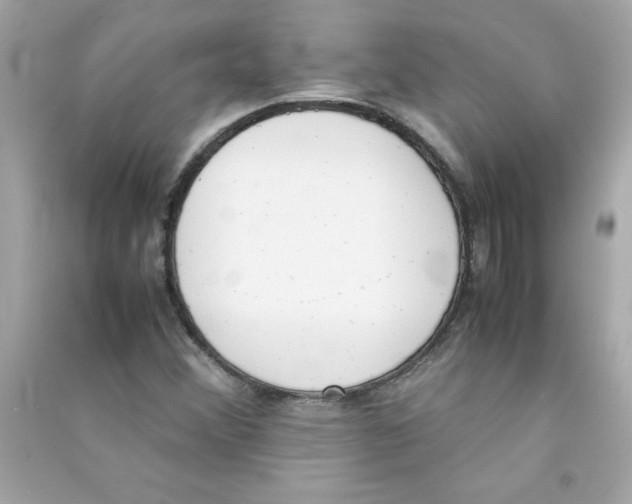 X0000090411356200708101910