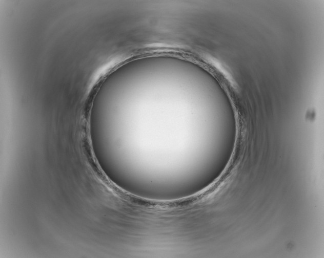 X0000090411357200708101910