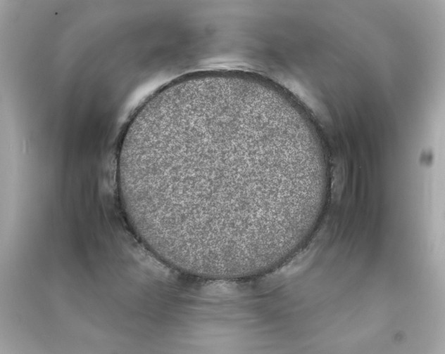 X0000090411358200708101910