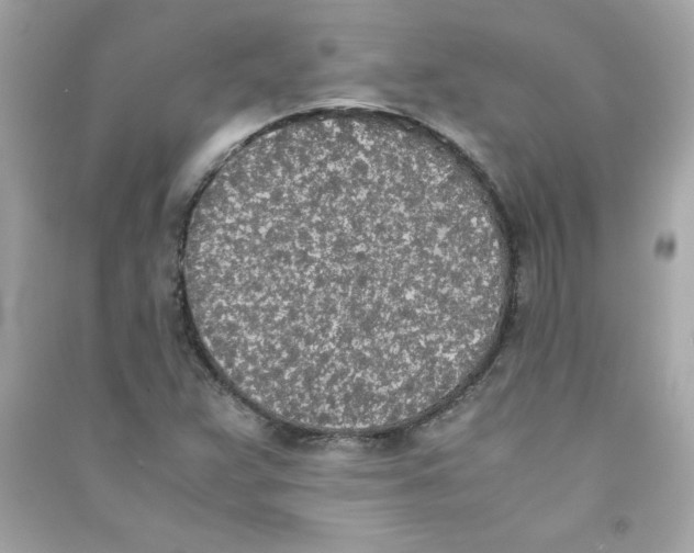 X0000090411359200708101910