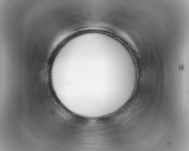 X0000090411360200708101910