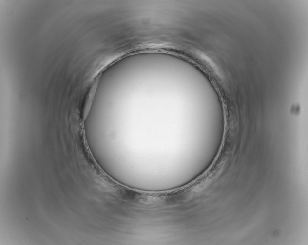 X0000090411361200708101910