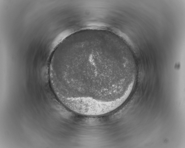 X0000090411362200708101910