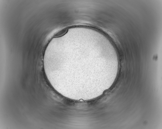 X0000090411363200708101910