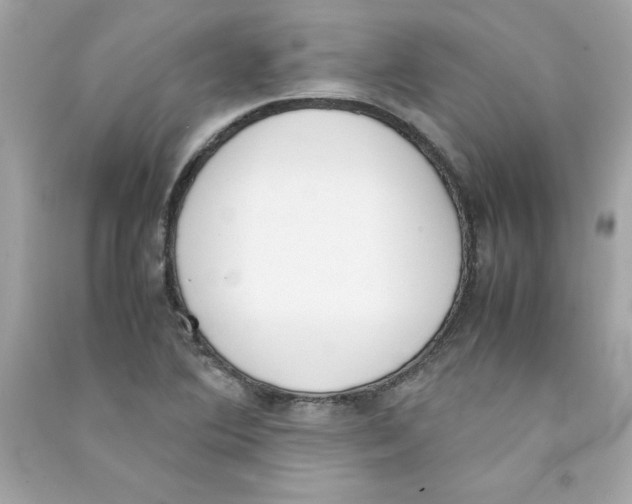 X0000090411364200708101910