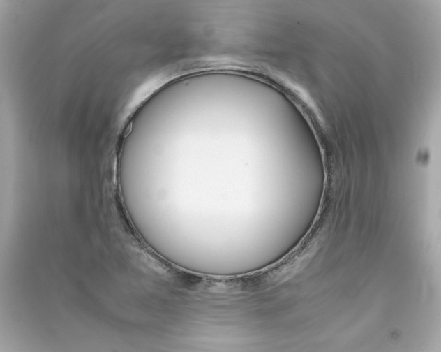 X0000090411365200708101910