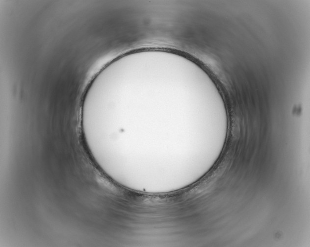 X0000090411366200708101910