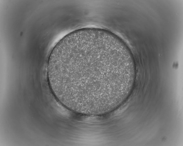 X0000090411367200708101910