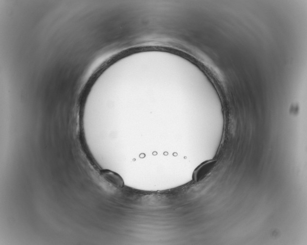 X0000090411368200708101910