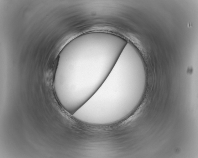X0000090411369200708101910