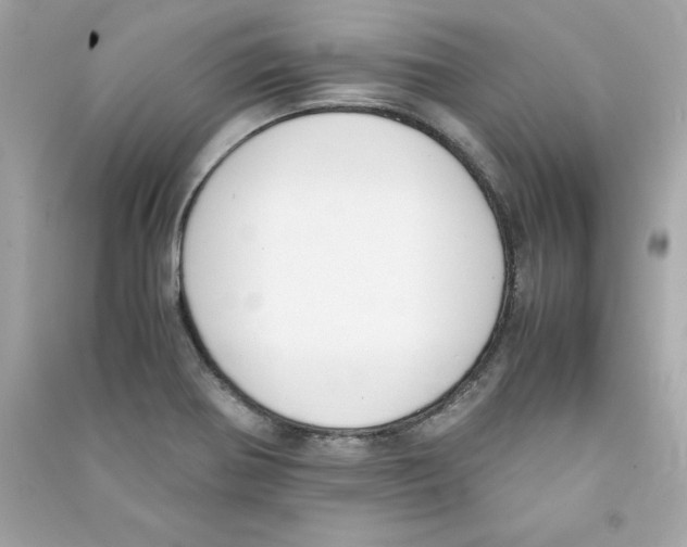 X0000090411370200708101910